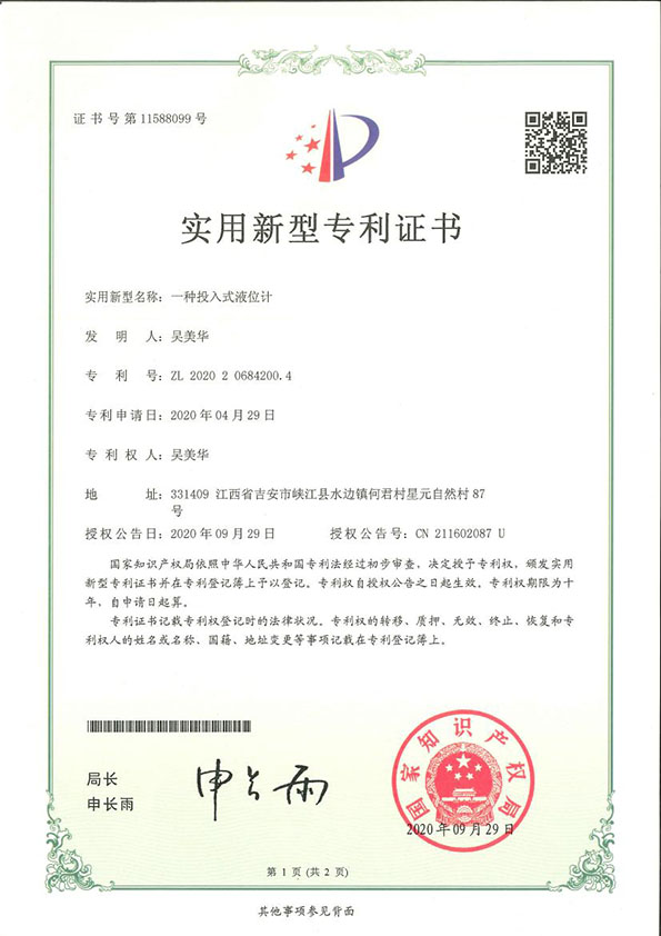 一种投入式液位计